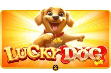 4466club Live Casino